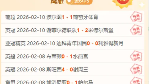 独家揭秘：霍村德甲连胜之谜，连胜步伐深度数据解析！